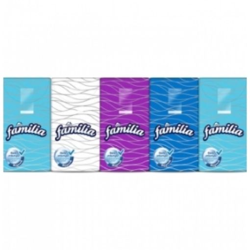 FAMİLİA MENDİL CEP 10'LU. ürün görseli