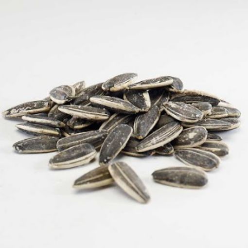 KR. ALA ÇEKİRDEK TUZLU KĞ ***SÜPER***. ürün görseli