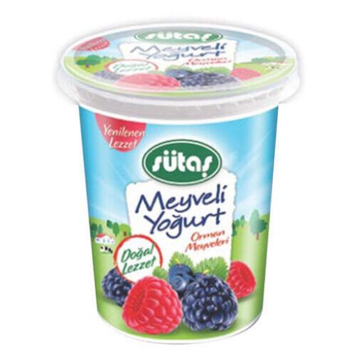 SÜTAŞ 500 GR ORM.MEY.YOĞURT. ürün görseli