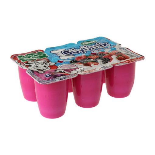 SÜTAŞ BÜYÜMİX 6 LI ORMAN MEYVE. ürün görseli