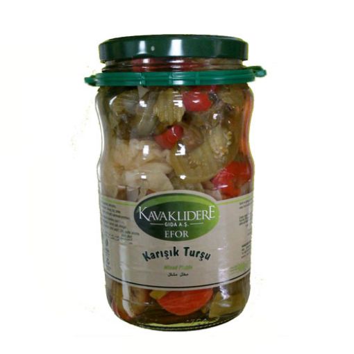 EFOR TÜRLÜ TURŞU 1600 GR CAM. ürün görseli