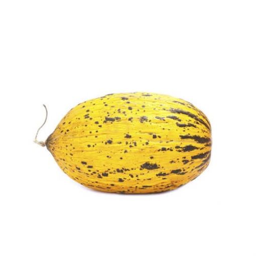 KAVUN SERA KG. ürün görseli