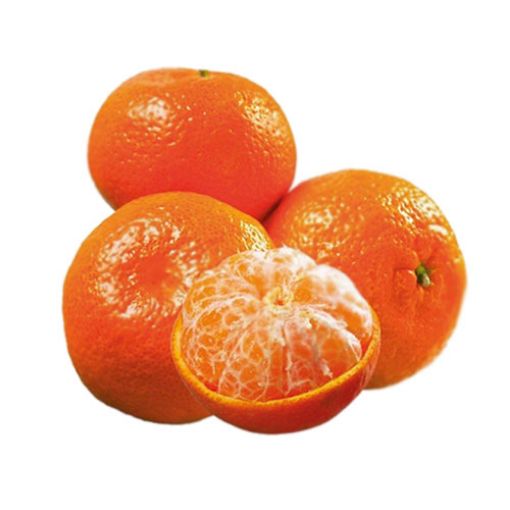 MANDALİNA KİNG LÜX KG. ürün görseli