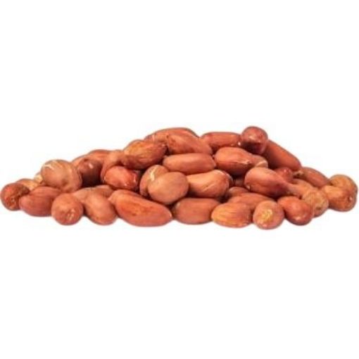 TAR. ÇİĞ FISTIK KG. ürün görseli