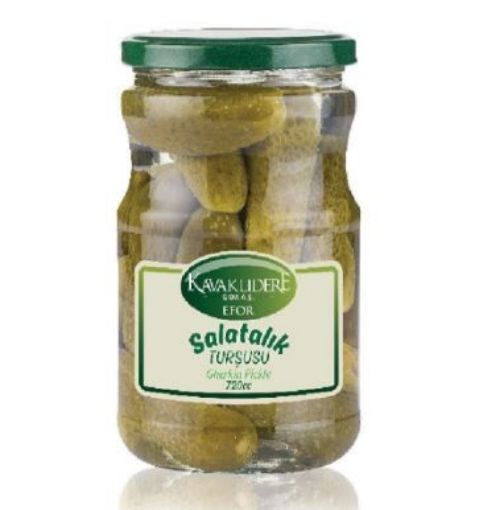 EFOR KORNİŞON TURŞU 330 GR CAM. ürün görseli