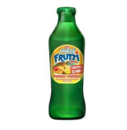 ULUDAĞ FRUTTİ MANGO& ANANAS 200 ML. ürün görseli