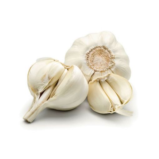 SARIMSAK TAZE  KG. ürün görseli