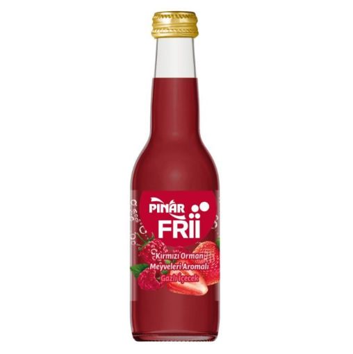 PINAR FRİİ ORMAN MEYVELİ İÇECEK 250 ML. ürün görseli