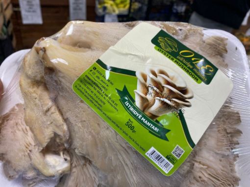 MANTAR İSTİRİDYE 500 GR. ürün görseli